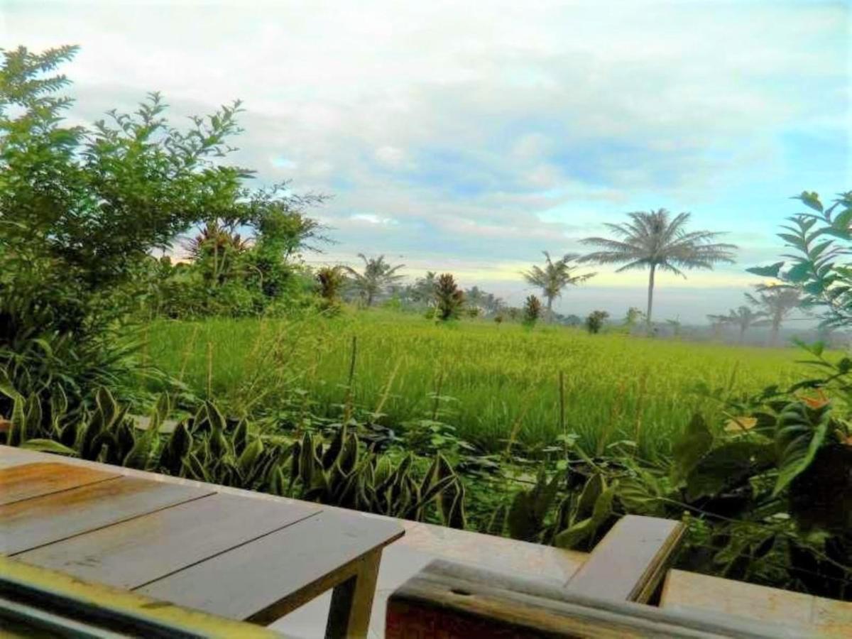 Fida Ijen Crater Guesthouse Licin Exterior photo